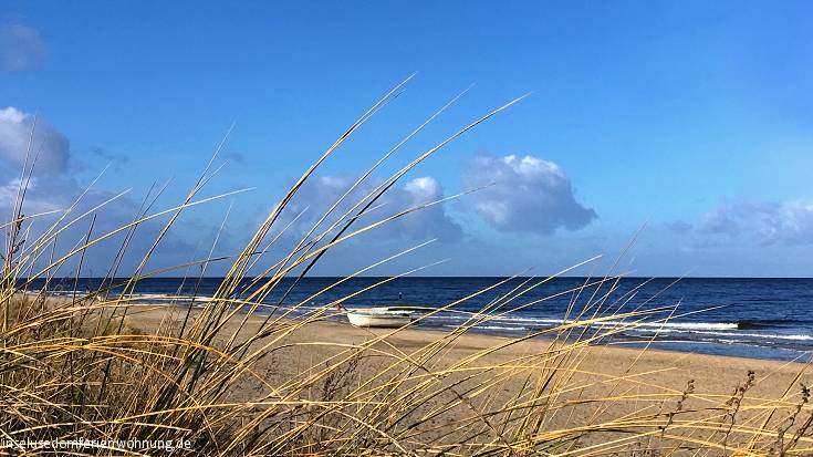 ferienwohnung-insel-usedom-vogelh1