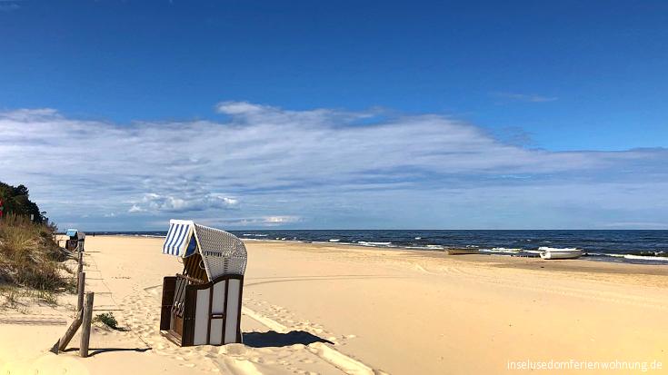 ferienwohnung-insel-usedom-vogelh4