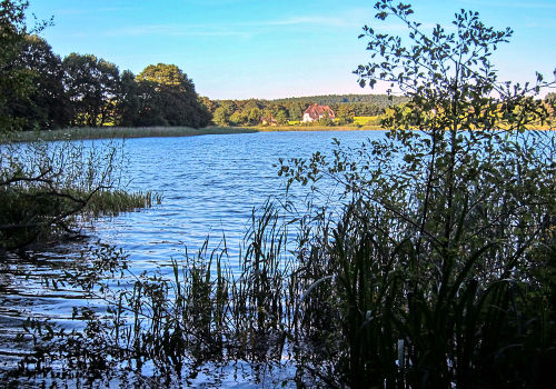 ferienwohnung-usedom-martin11